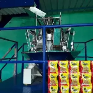 Multihead Weigher Packing Machine Manufacturers in Bangalore
